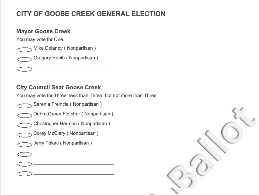 Election for Mayor, City Council members Nov. 8 The City of Goose